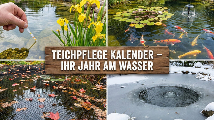 Teichpflege Kalender