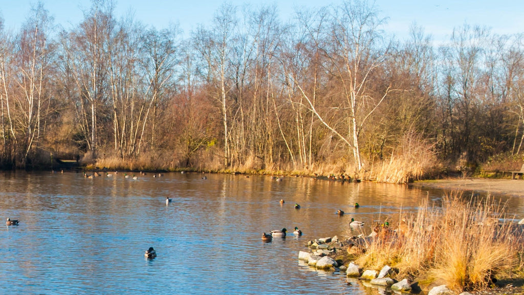 Teichpflege im Frühjahr