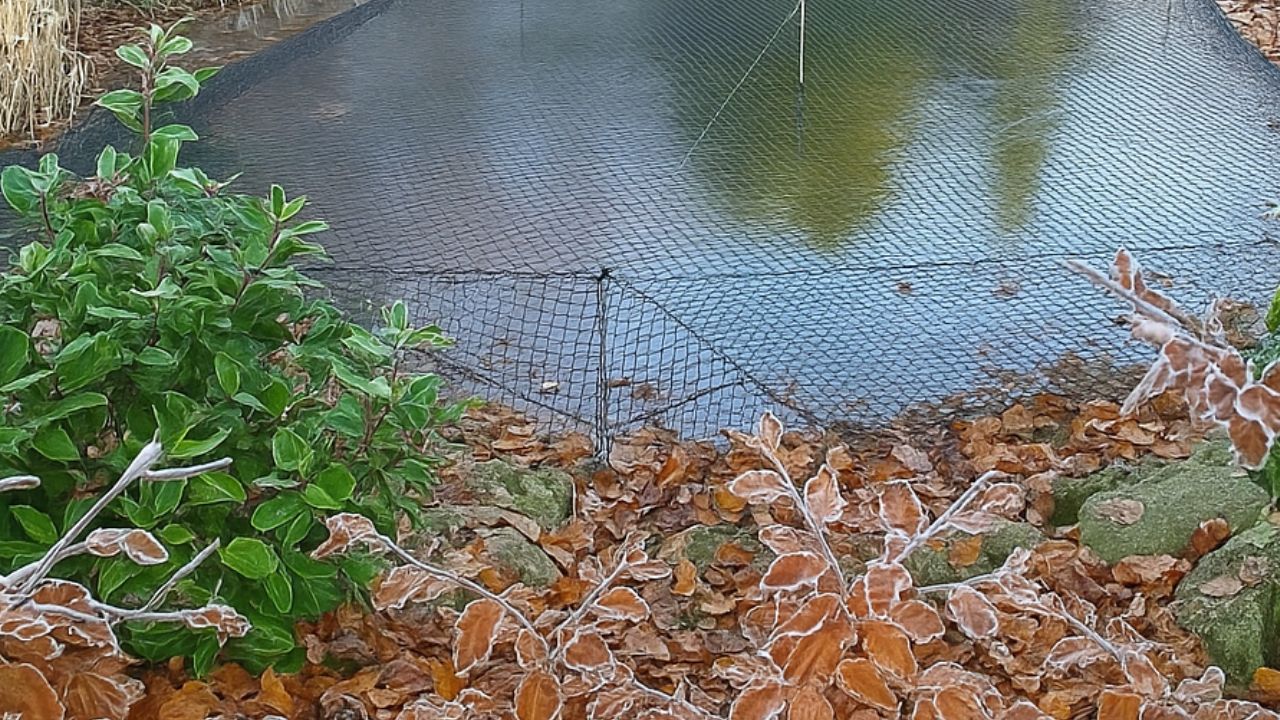 Laubschutz aufspannen