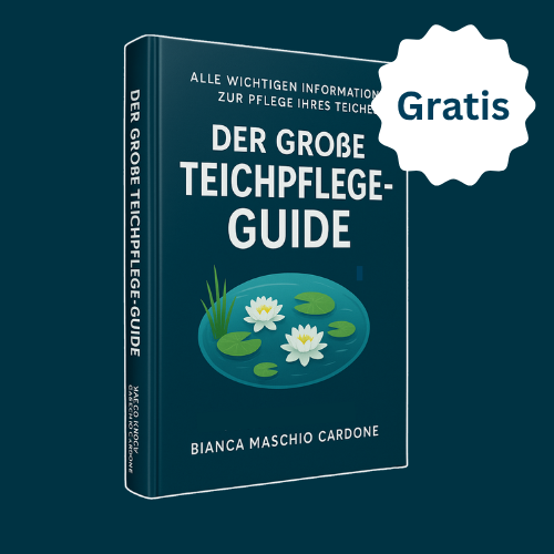 Poolpflege Ratgeber von Agualeve