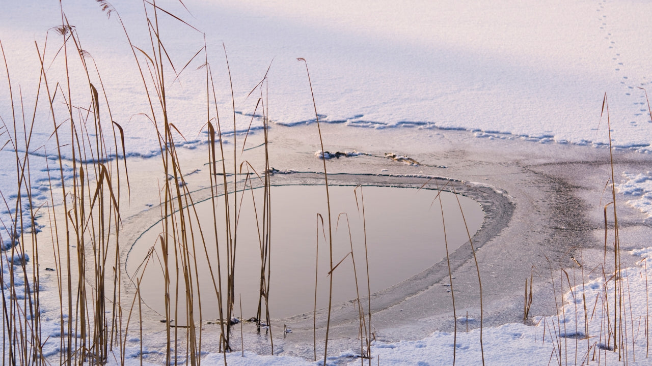 Teich eisfrei halten ohne Strom